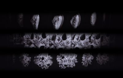 Still from Ship of Fools showing three animation strips depicting rotating barnacles.