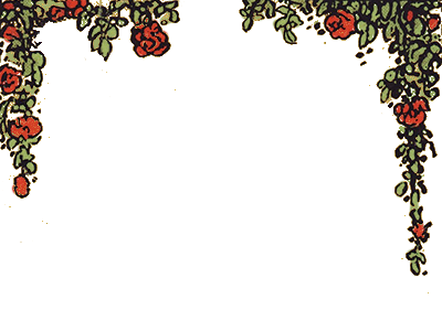 Top Graphic
